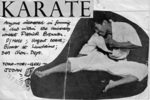 karate poster